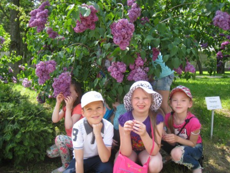 А Вы ели сирень на счастье?